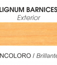 EXTERIOR BRILLANTE