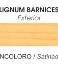 EXTERIOR SATINADO
