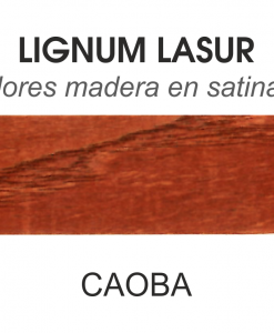 LASUR AQUA JAFEP SATINADO-BRILLO - Tiendas Padel Pinturas